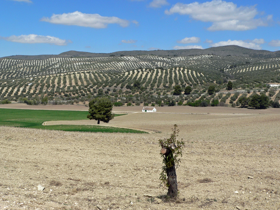 Andalusien ohne Touris