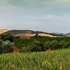 Andalusien Panorama