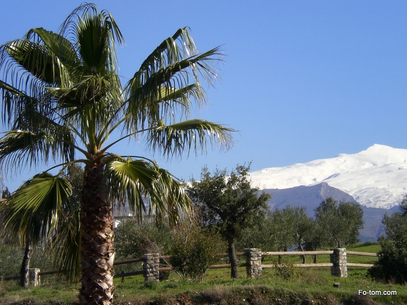 Andalusien Sierra Nevada bei Granada