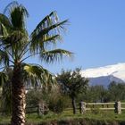 Andalusien Sierra Nevada bei Granada