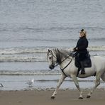 Andalusier am Strand