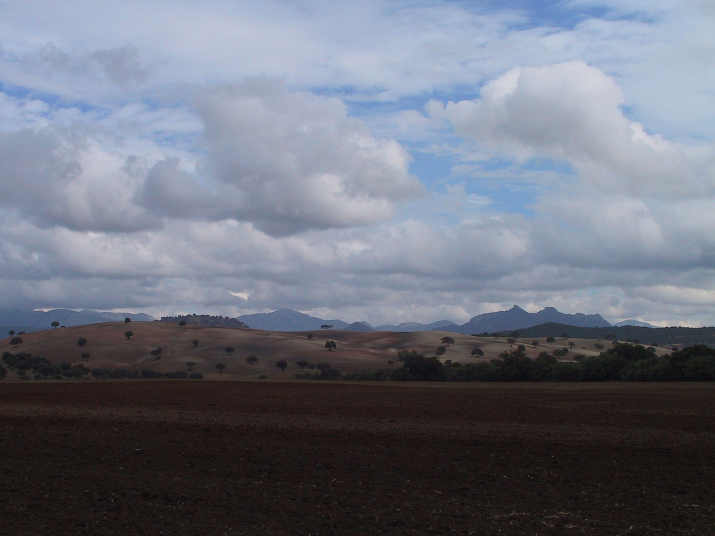 Andalusische Landschaft