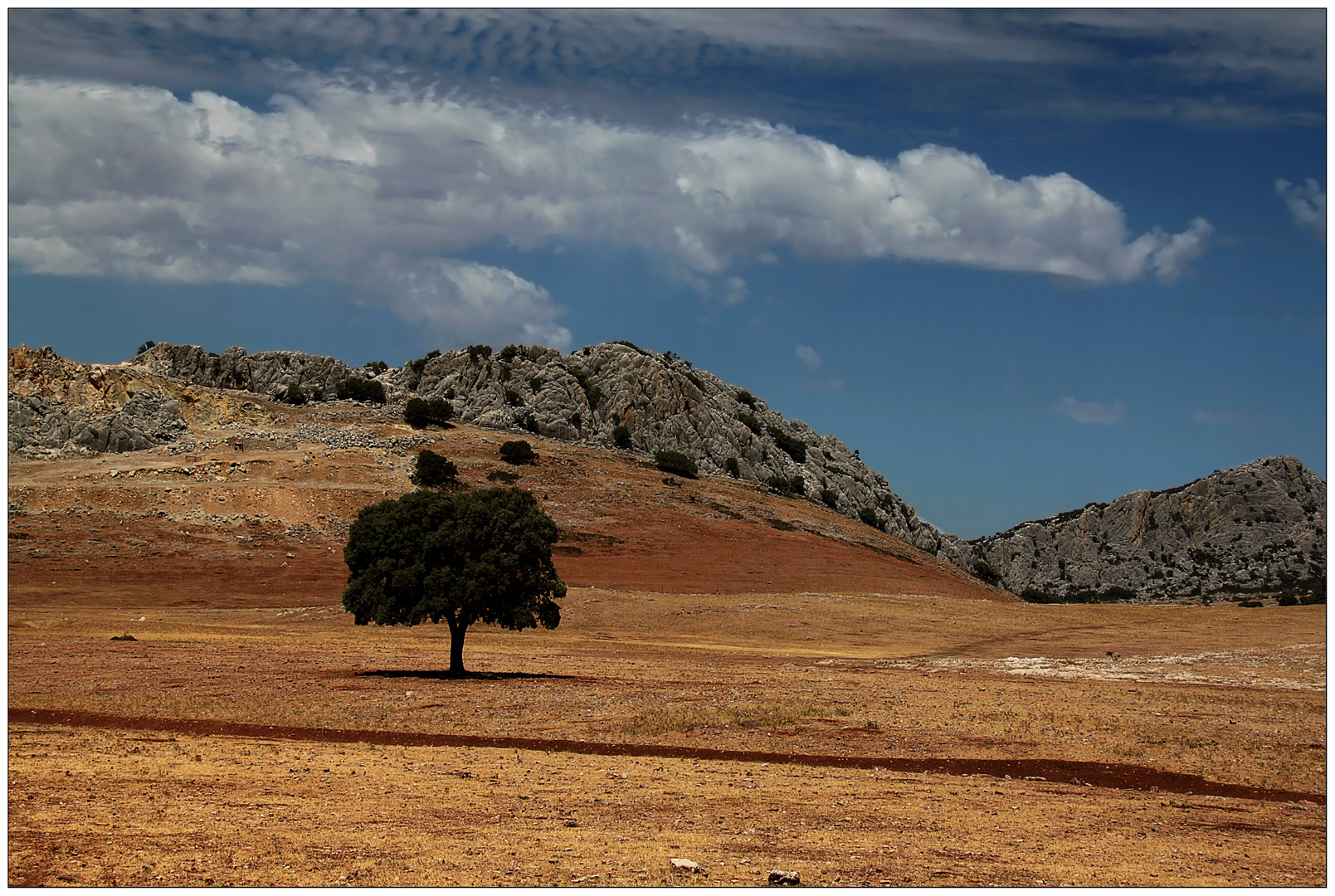 Andalusische Landschaft