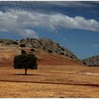 Andalusische Landschaft