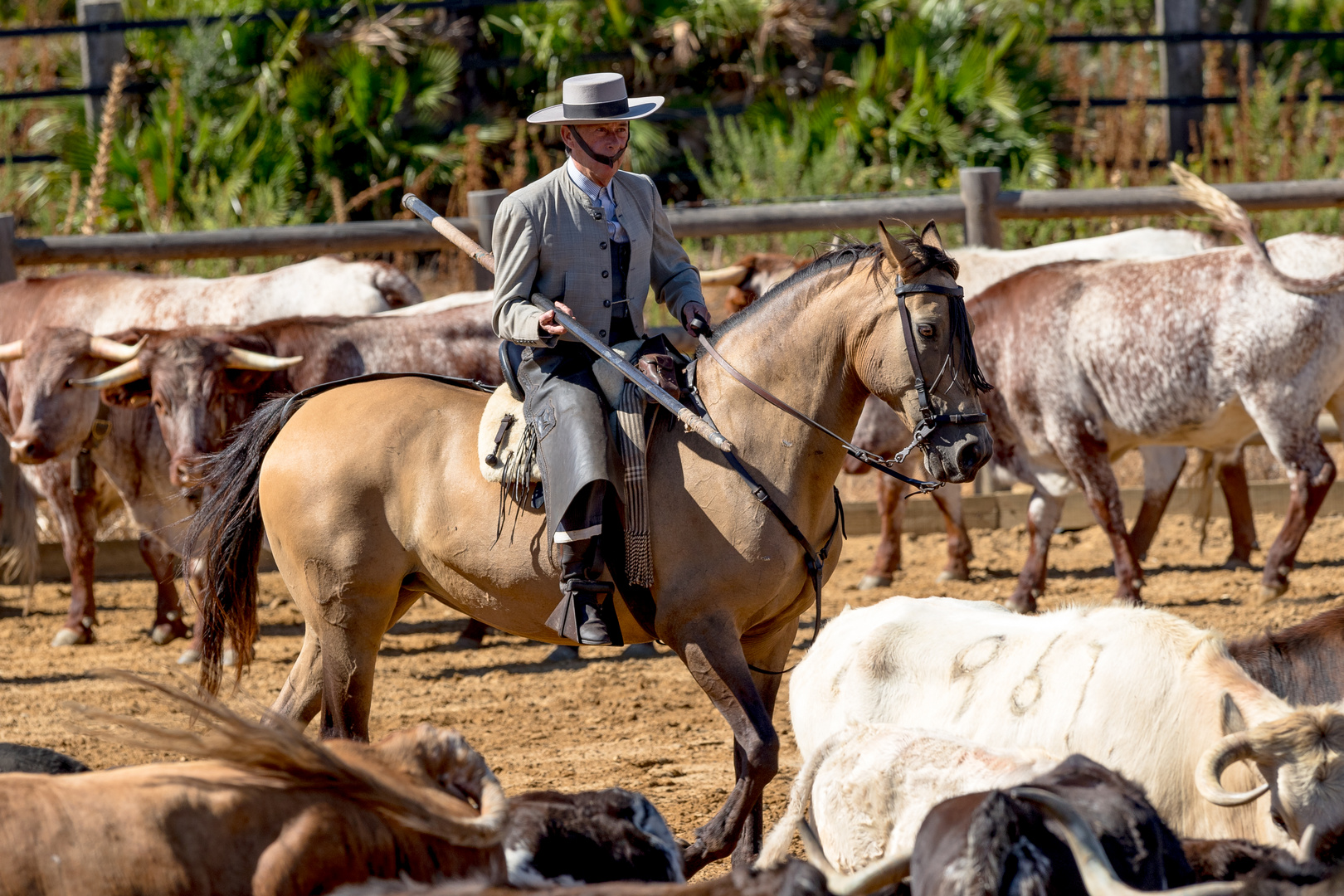 Andalusischer Rinderhirte