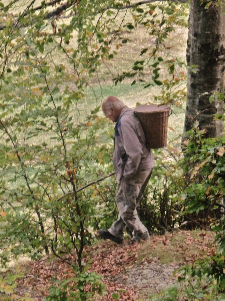 andar per funghi