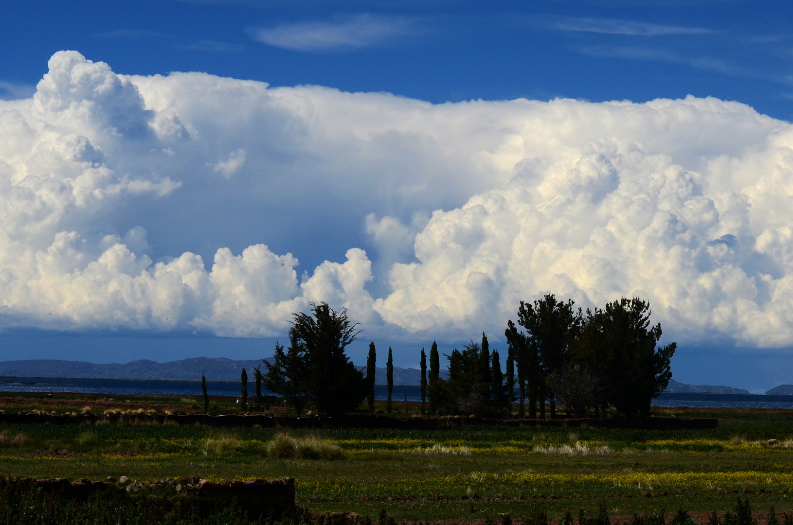 Andean Plateau