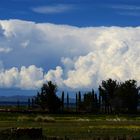 Andean Plateau