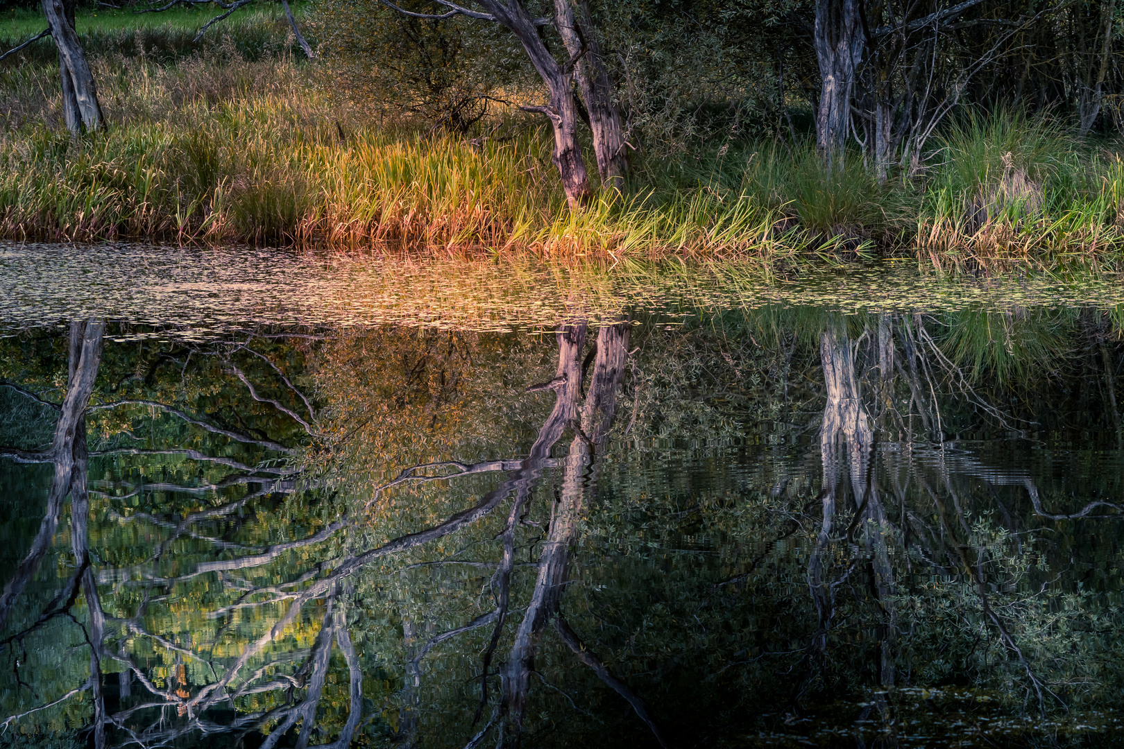 Andechser Moor 