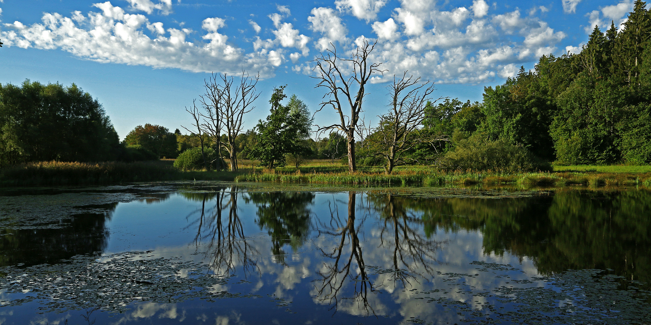 Andechs_Weiher_2