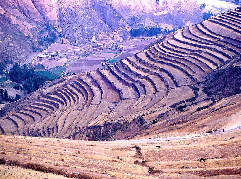 Andenes en Pisac