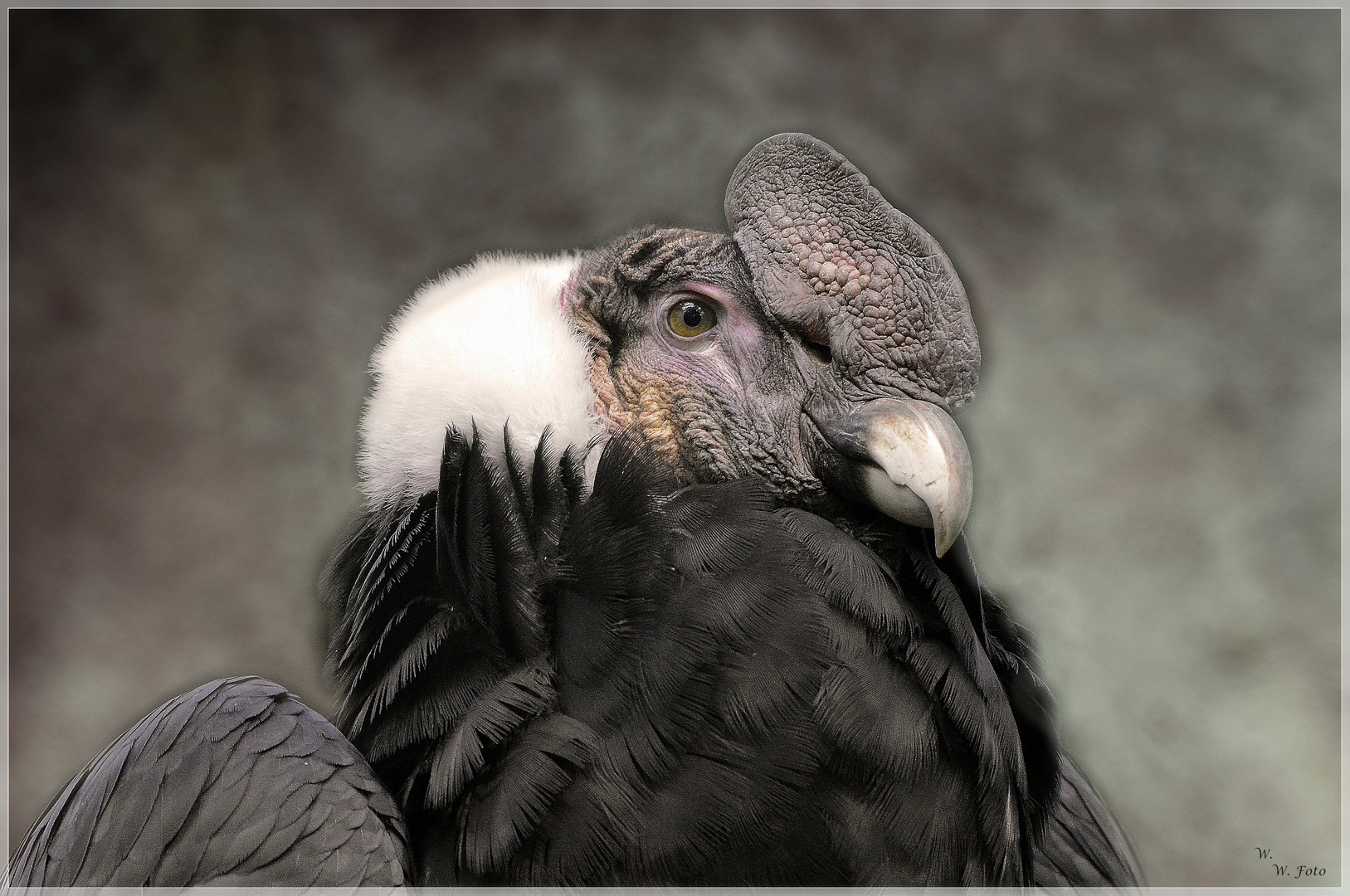 Free online dating you hating you