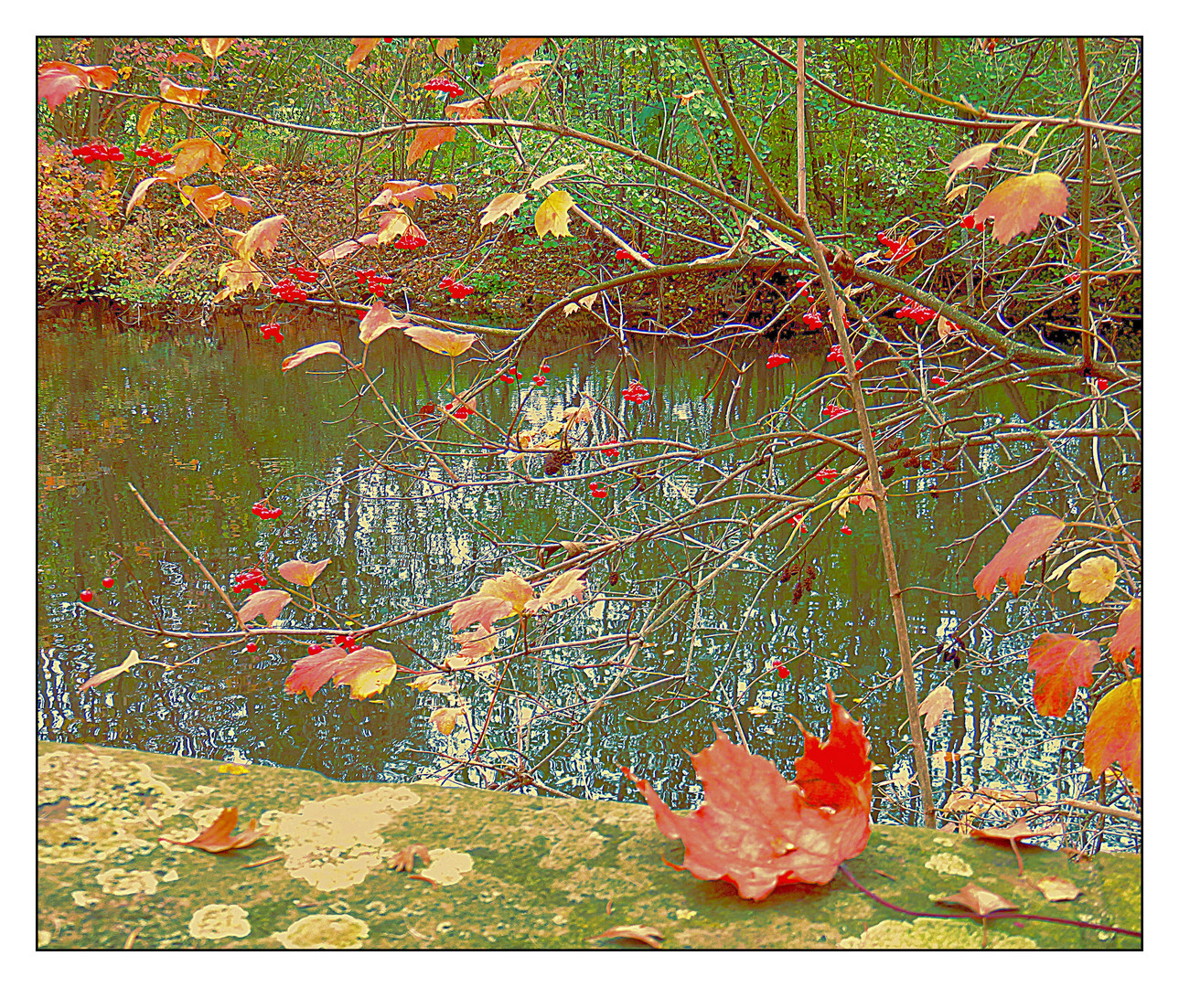 Andere Farben im Park