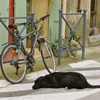 ...ANDERE -haben ein Fahrradschloß !!!..