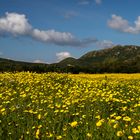 andere länder | andere farben