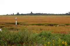 Andere Perspektive - Hammonassett Salt Marsh