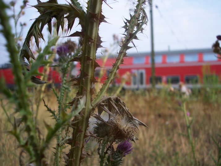 "anderer blickwinkel"