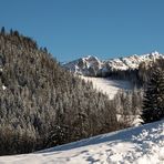 anderer Schnitt vom Rückblick