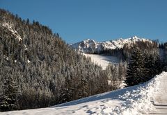 anderer Schnitt vom Rückblick