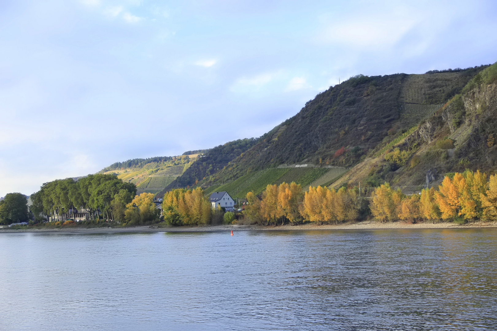 Andernach`s Weinberge