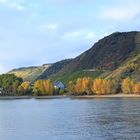 Andernach`s Weinberge