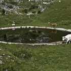 andiamo in centro a farci una vasca....