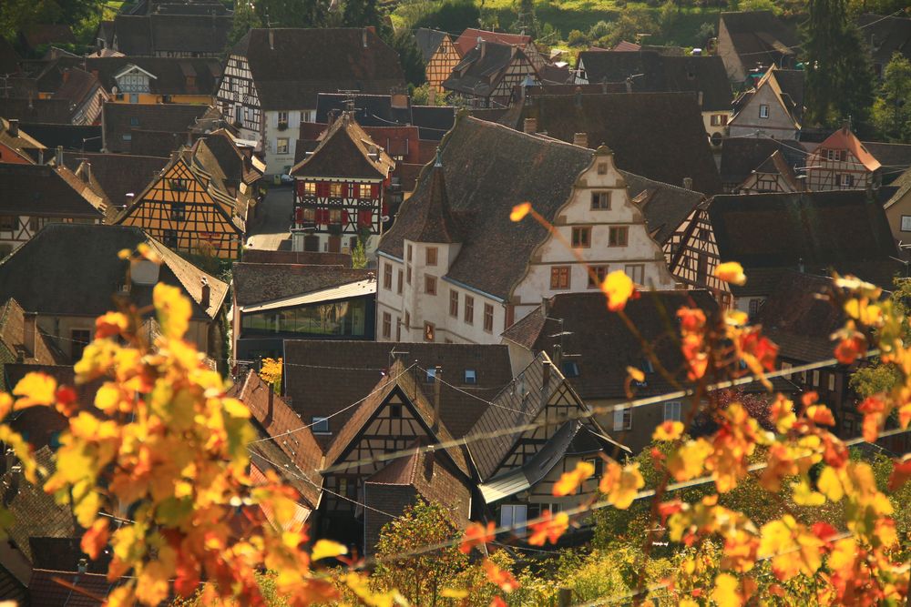 Andlau, dans son écrin de couleurs