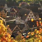 Andlau, dans son écrin de couleurs