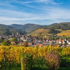 Andlau mit umliegenden Weinbergen