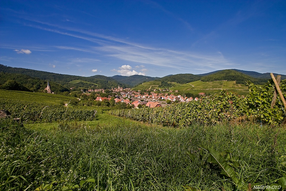 Andlau - Ortsansicht aus dem Weinberg