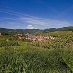 Andlau - Ortsansicht aus dem Weinberg