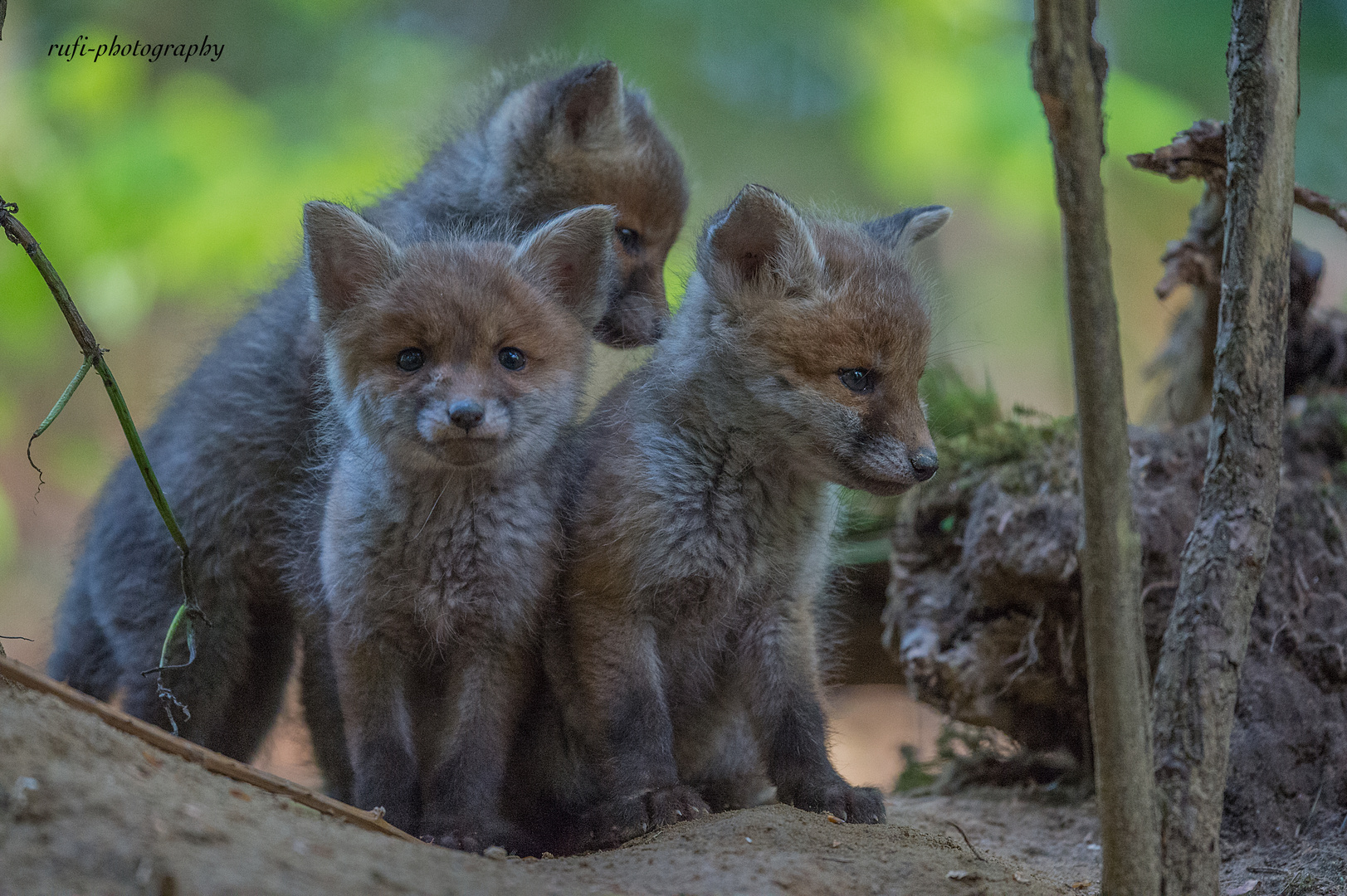 Andrang vor dem Fuchsbau