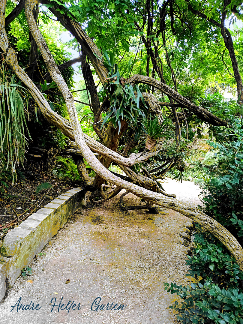 Andre-Heller-Garten, Gardone Riviera