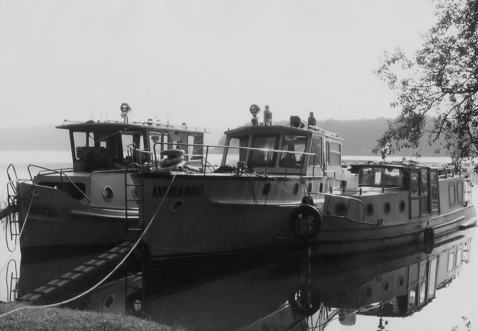 Andrea Doria in Brandenburg