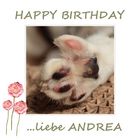 Andrea hat Geburtstag