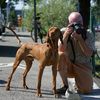 Andreas Krautschat Fotografie