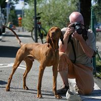 Andreas Krautschat Fotografie