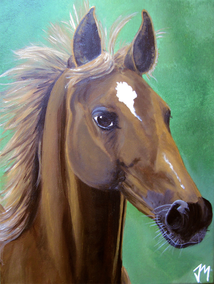 Andrea's Pferd