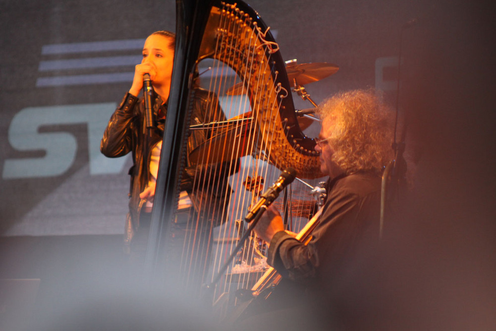 Andreas Vollenweider in Aktion