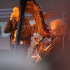 Andreas Vollenweider in Aktion