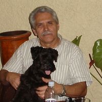 Andres Curiel Villaseñor