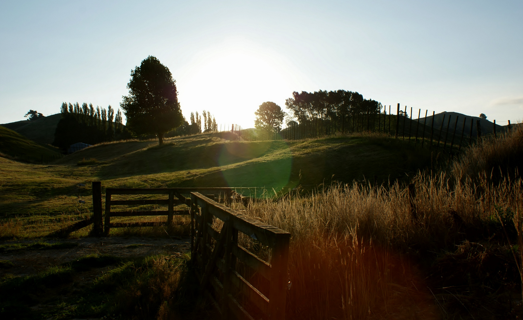 Andrès Farm