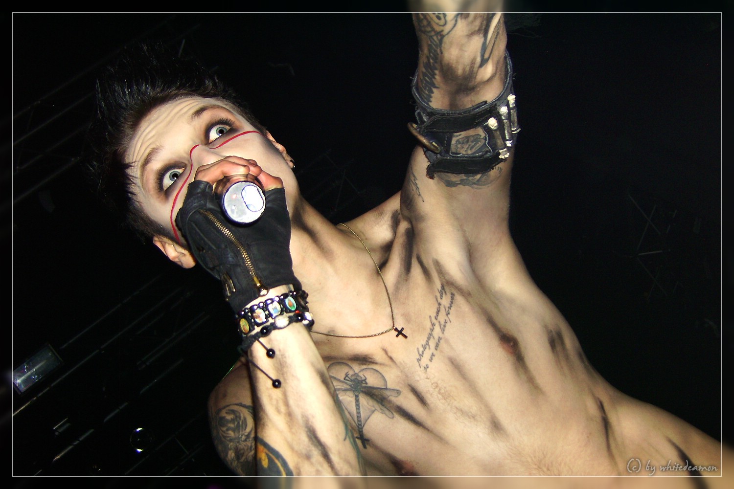 Andrew Biersack - Black Veil Brides II