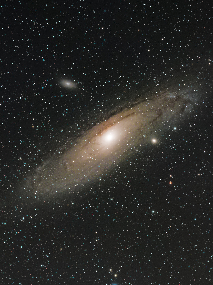 Andromeda 