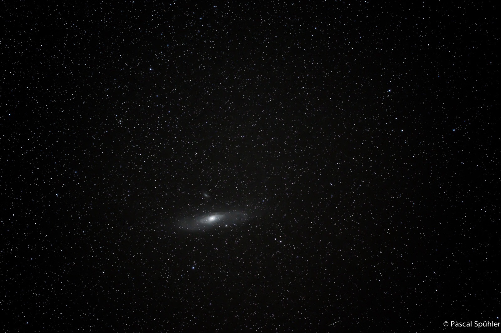 Andromeda