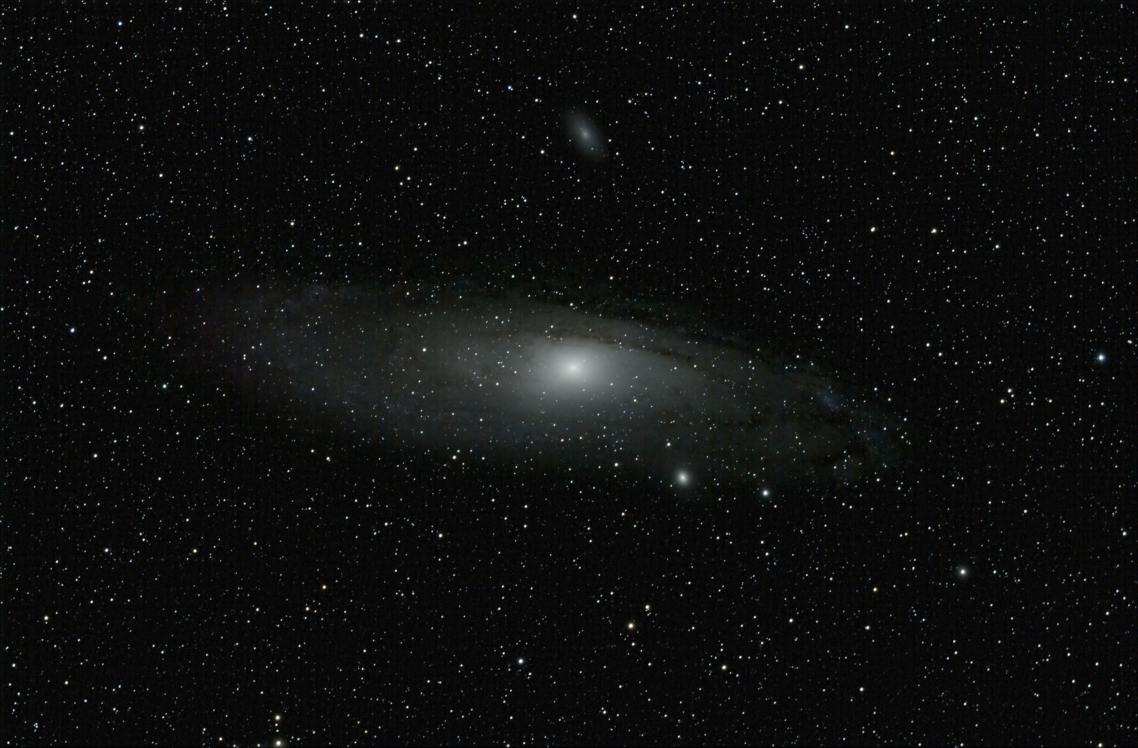 Andromeda 65Q 08_16roh_14_2_bea