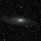 Andromeda 65Q 08_16roh_14_2_bea