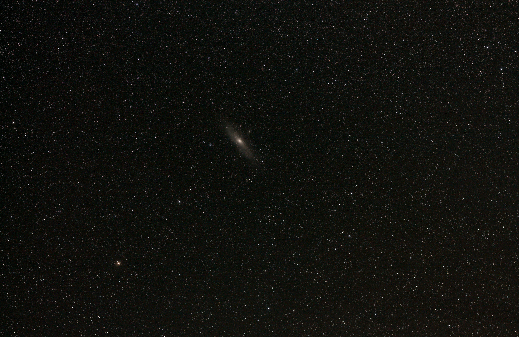 Andromeda bei 50mm