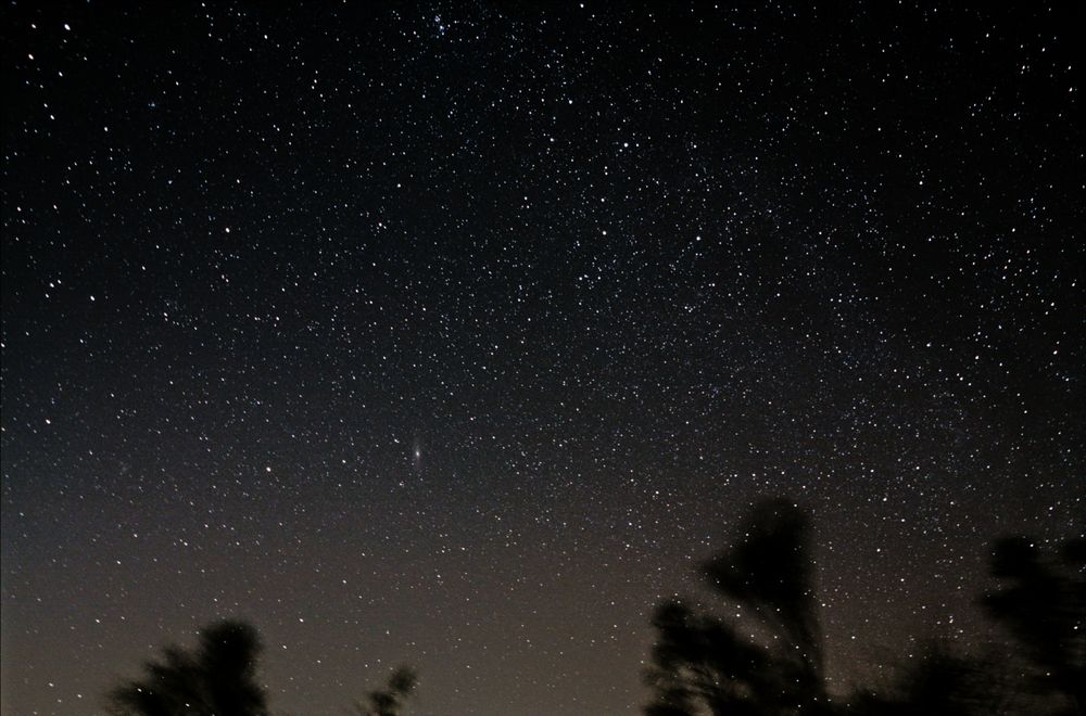 Andromeda im Himmelmoor