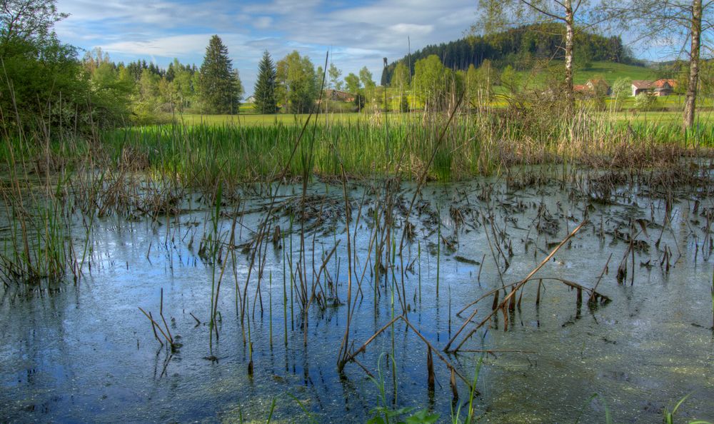 Andwiler Moos Foto & Bild landschaft, bach, fluss & see, see, teich